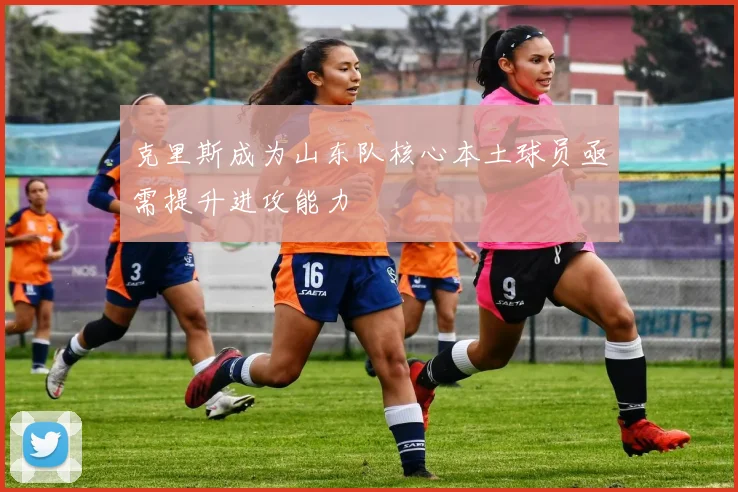 克里斯成为山东队核心本土球员亟需提升进攻能力